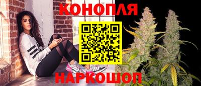 сатива Бузулук