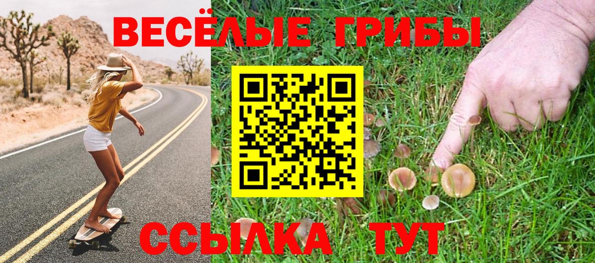 Галлюциногенные грибы Cubensis Псков