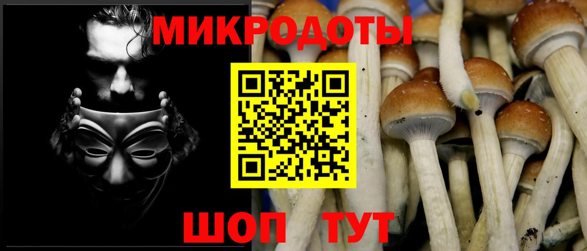 Галлюциногенные грибы Psilocybine cubensis  продажа наркотиков  Псков  Вход с VPN 